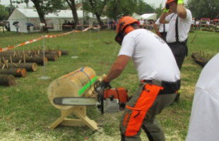 Az ország legjobb favágó tűzoltói a barcsiak