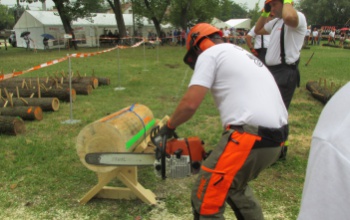 Az ország legjobb favágó tűzoltói a barcsiak