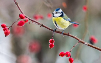 Továbbra is változékony lesz az idő