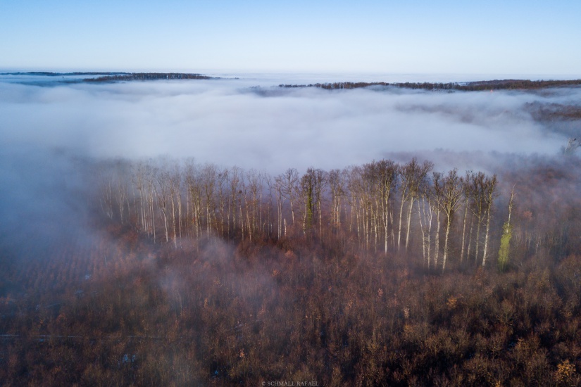 Fotó forrása: Zselici Csillagpark