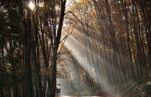Orsolya-nap: ha ma szép az idő, szép lesz a karácsony is?