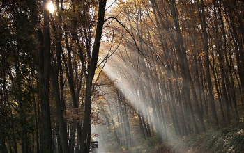 Orsolya-nap: ha ma szép az idő, szép lesz a karácsony is?