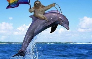 Nem vagyok delfin