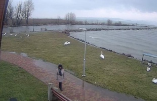 A hétvégén kevésbé csapadékos idő várható