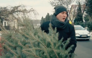 Ne a karácsonyfáját, hanem a fenyőfáját dobja ki!