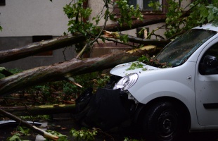 Motorfűrészektől hangos Somogy a vihar után