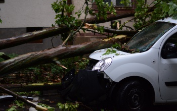 Motorfűrészektől hangos Somogy a vihar után
