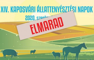 Döntöttek: elmarad az idei KÁN