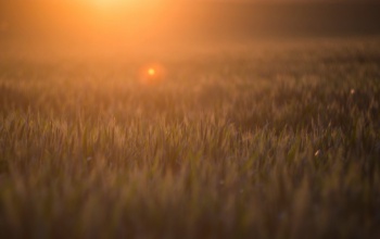 Kaposvári időjós: verőfényes napsütés, 30°C