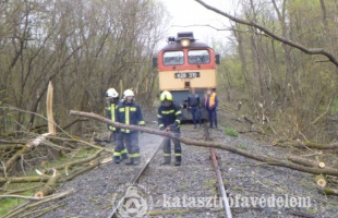 Hétfőn is dőltek még a fák a szélviharban