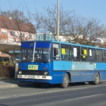 CCK-291