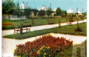 A Hajnóczy parkról...