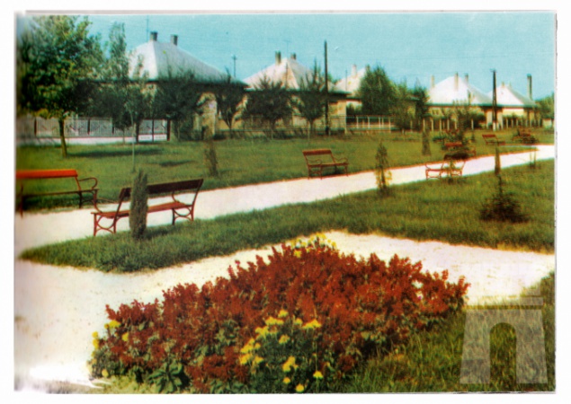 A Hajnóczy parkról...