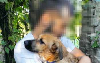 Drótkerítésbe akadt kölyökkutyát mentettek a tűzoltók Nagyatádon