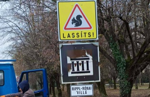 Vigyázz, mókus! - A kis állatok védelmére helyezett ki valaki táblát a Jutai úton