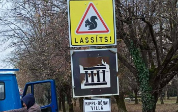 Vigyázz, mókus! - A kis állatok védelmére helyezett ki valaki táblát a Jutai úton