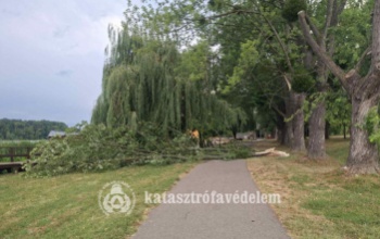 Harmincöt műszaki mentés mellett, tizenöt tűzesethez is riasztották a somogyi tűzoltókat az elmúlt hétvégén
