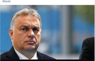 Közösségi alapelvek