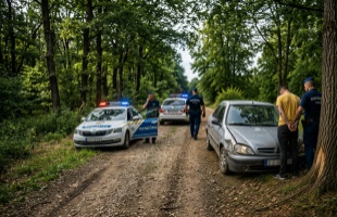 Menekülés közben ült át a jobb oldali utasülésre, majd fának ütközött