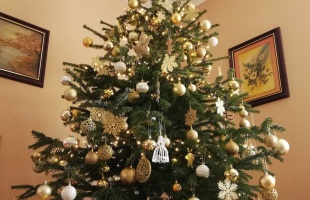 Zsófiék karácsonyfája