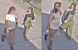 Elfogta a rendőrség a görög teknőst megölő nőt