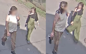 Elfogta a rendőrség a görög teknőst megölő nőt