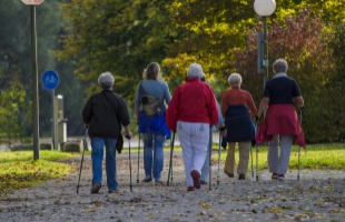 Kaposváron is csatlakozhatnak az érdeklődők a Botra fel! kampányhoz