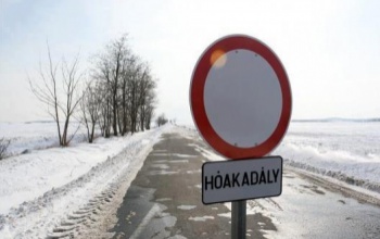 Összefogás a közösségi médiában