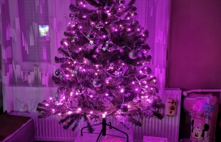 Dóri karácsonyfája