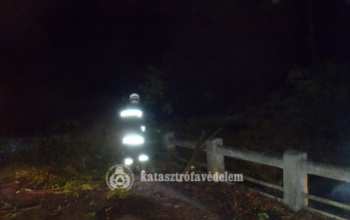 Az útra dőlt egy 20 méter magas akácfa Ádánd közelében