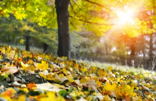 Az ország déli részén késő nyár várható ma