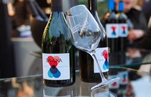 Idén a Sauska lett a legeredményesebb magyar borászat