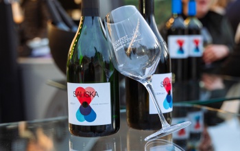 Idén a Sauska lett a legeredményesebb magyar borászat