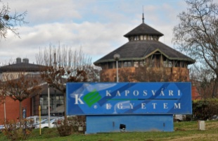 A kukoricát szennyező toxin hatásait vizsgálja a Kaposvári Egyetem