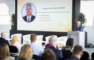 Célzott támogatások segítik a hazai burgonyatermesztést