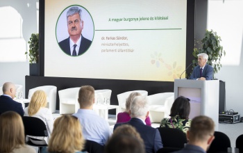 Célzott támogatások segítik a hazai burgonyatermesztést