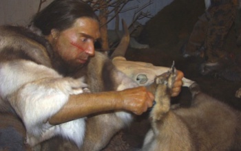 Háziasság miatt volt erős a neandervölgyiek jobb karja