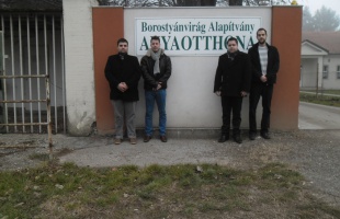 Összefogás az otthonlakókért