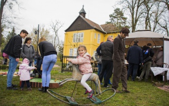Az eső ellenére is sokan kilátogattak a Nárcisz ünnepre