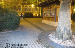 Börtön járhat annak a 17 éves fiúnak, aki a Noszlopy utcában úgy megvert egy férfit, hogy az később belehalt a sérüléseibe
