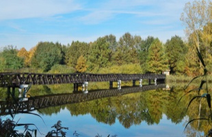 Szeptember végéig zárva marad a Deseda Arborétum hídja