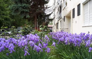 Változékony és szeles idő hétvégéig