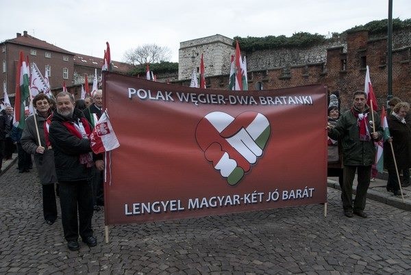 Polgár Portál fotója