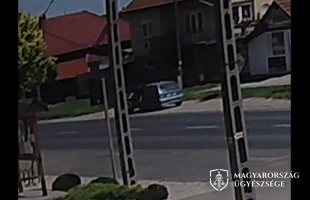 Autóból rakta ki kölyökkutyáját a férfi Kéthelyen
