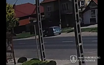 Autóból rakta ki kölyökkutyáját a férfi Kéthelyen