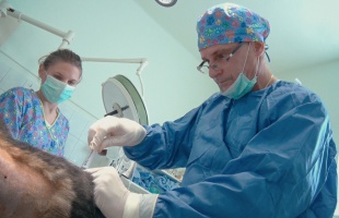 Közép-Kelet Európában egyedülálló beavatkozást végeztek Kaposváron