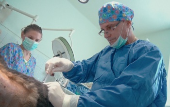 Közép-Kelet Európában egyedülálló beavatkozást végeztek Kaposváron