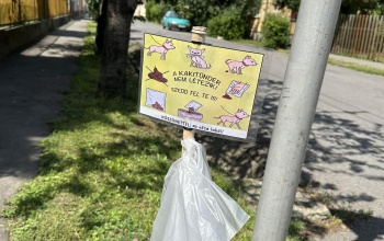 A Kakitündér nem létezik, üzenik a Győr utca lakói