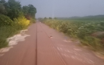 Várhatóan péntek estig szünetel a vasútforgalom Kaposvár és Mernye között