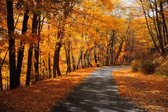 Egy bulváranalfabéta vallomása